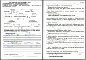 Пассажирская таможенная декларация на транспортное средство ТД-7 и сведения в ней