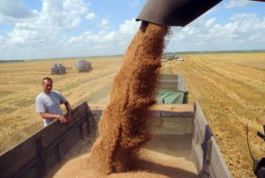 При осуществлении экспорта зерновых культур перевозчик несёт ответственность за доставку продукции